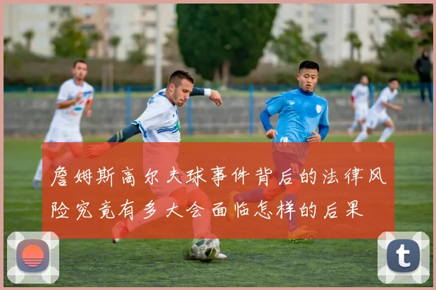 詹姆斯高尔夫球事件背后的法律风险究竟有多大会面临怎样的后果